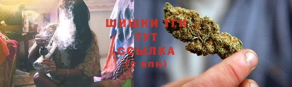 mdpv Богородск