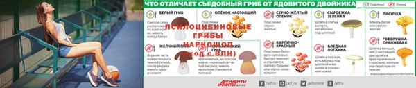 мяу мяу кристалл Богданович