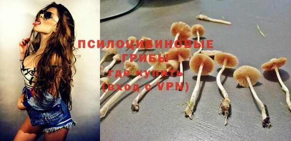mdpv Богородск