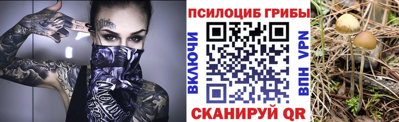 Псилоцибиновые грибы мухоморы  Купить закладки  Вязники 